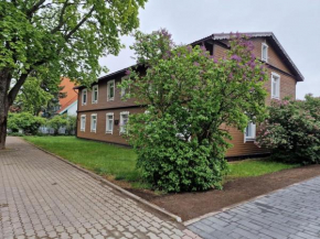 Newly refurbished best located one bed flat, Palanga